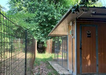 Villa Cappella Cantone - foto 21