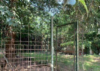 Villa Cappella Cantone - foto 20