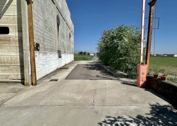 Capannone Genola - foto 4