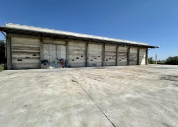 Capannone Genola - foto 5