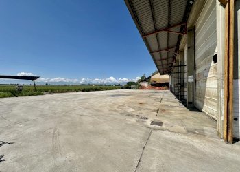 Capannone Genola - foto 7