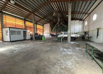 Capannone Genola - foto 14