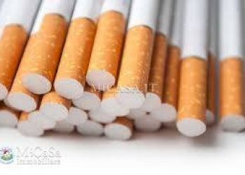 Foto 4 - Attività Commerciale Via Della Repubblica Pisana
 
45, Pisa - foto 4