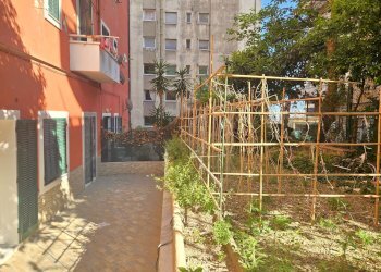 Foto 5 - Apartment Via Pagano Doria, Genova - photo 5