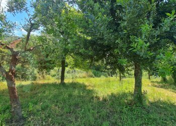 Foto 20 - Casa indipendente Via Cupa, Falvaterra - foto 20