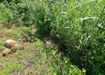 Foto 23 - Casa indipendente Via Cupa, Falvaterra - foto 23