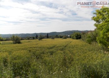 Foto 1 - Terreno agricolo Via Salaria, Monsampolo del Tronto - foto 1