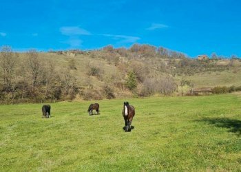 Foto 29 - Rustico Turpino, Spigno Monferrato - foto 29