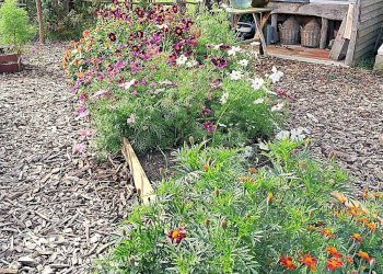 Foto 52 - Rustico Turpino, Spigno Monferrato - foto 52