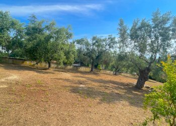 Foto 45 - Villa Via Dei Tigli
 
6, San Benedetto del Tronto - photo 45