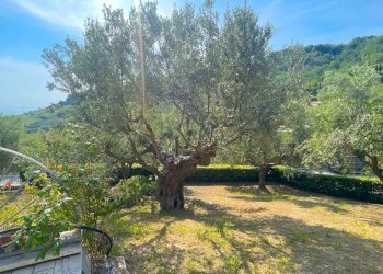 Foto 67 - Villa Via Dei Tigli
 
6, San Benedetto del Tronto - photo 67