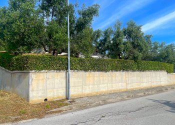 Foto 99 - Villa Via Dei Tigli
 
6, San Benedetto del Tronto - photo 99