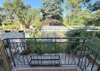 vista sul giardino - Casa semi indipendente Via Bucci
 
SNC, Vico del Gargano - foto 15