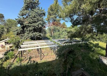 giardino - Casa semi indipendente Via Bucci
 
SNC, Vico del Gargano - foto 20