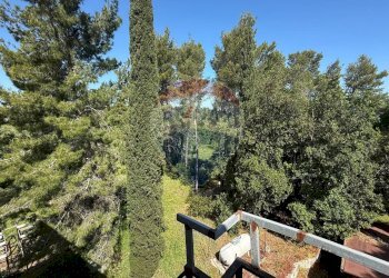 giardino - Casa semi indipendente Via Bucci
 
SNC, Vico del Gargano - foto 21