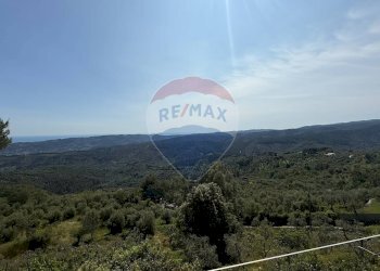vista sulla natura - Casa semi indipendente Via Bucci
 
SNC, Vico del Gargano - foto 30