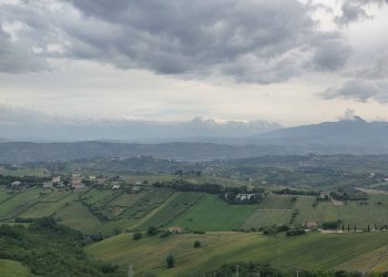 Foto 20 - Appartamento Viale G. Leopardi
 
33, Acquaviva Picena - foto 20