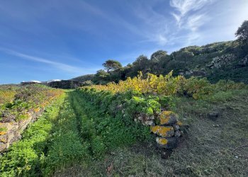 Foto 15 - Villa Pantelleria - foto 15