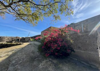 Foto 25 - Villa Pantelleria - foto 25