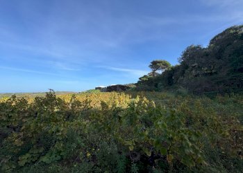 Foto 27 - Villa Pantelleria - foto 27