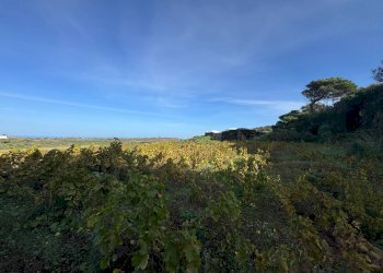 Foto 28 - Villa Pantelleria - foto 28