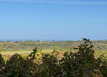 Foto 32 - Villa Pantelleria - foto 32