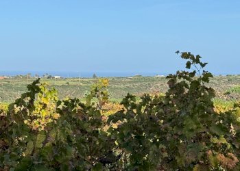 Foto 33 - Villa Pantelleria - foto 33