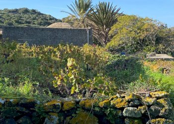 Foto 34 - Villa Pantelleria - foto 34