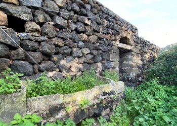 Foto 35 - Villa Pantelleria - foto 35