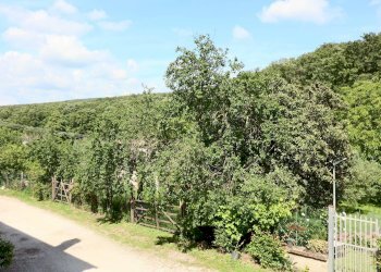 Foto 12 - Appartamento strada san girolamo, Vetralla - foto 12