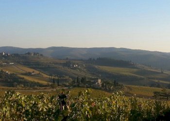 Foto 11 - Rustico Traversa Romana Lauretana, Monteroni d'Arbia - foto 11