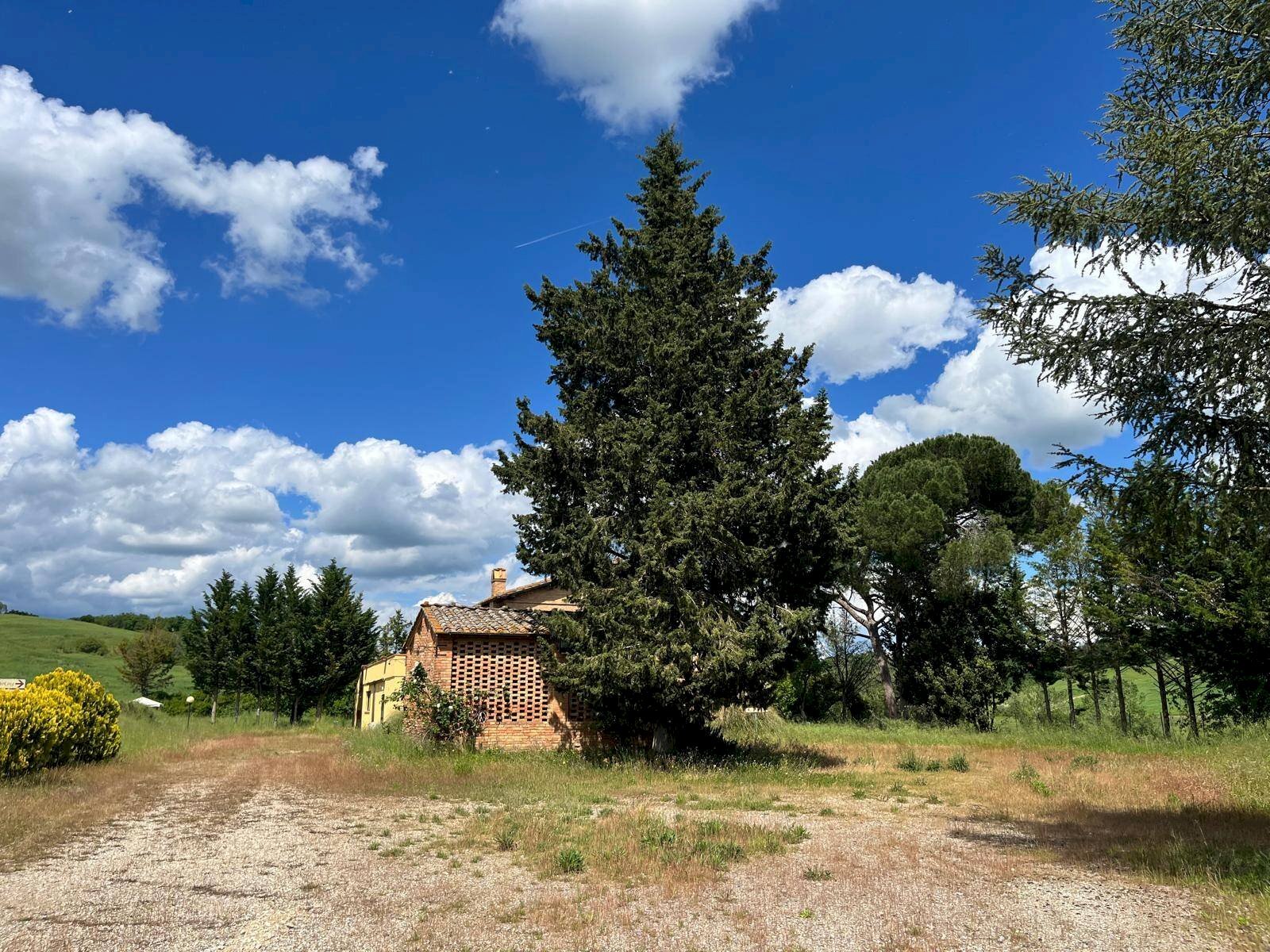 Foto 3 - Agriturismo Montalcino - foto 3