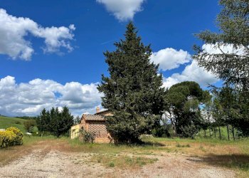 Foto 3 - Agriturismo Montalcino - foto 3