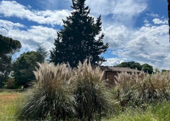 Foto 12 - Agriturismo Montalcino - foto 12