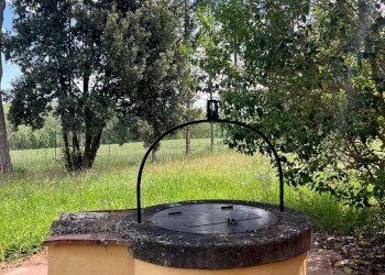 Foto 14 - Agriturismo Montalcino - foto 14