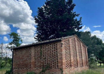 Foto 20 - Agriturismo Montalcino - foto 20