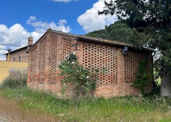 Foto 22 - Agriturismo Montalcino - foto 22