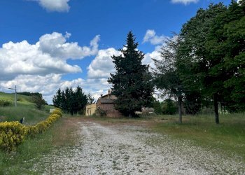 Foto 23 - Agriturismo Montalcino - foto 23