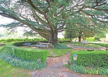 Parco - Villa Almenno San Bartolomeo - foto 11