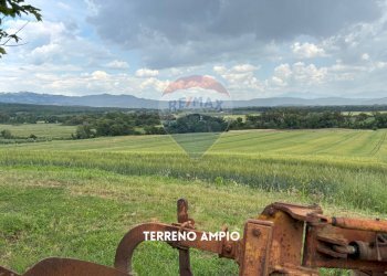 TERRENO - Rustico VIA DI SASSOSCRITTO
 
SNC, Roccastrada - foto 3