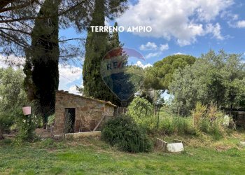 ANNESSO - Rustico VIA DI SASSOSCRITTO
 
SNC, Roccastrada - foto 30