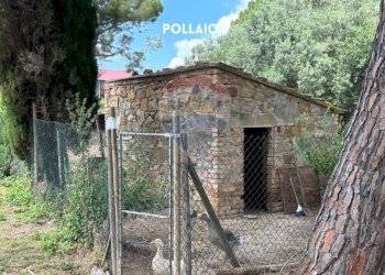 ANNESSO - Rustico VIA DI SASSOSCRITTO
 
SNC, Roccastrada - foto 31