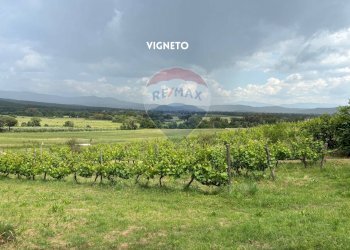 VIGNETO - Rustico VIA DI SASSOSCRITTO
 
SNC, Roccastrada - foto 32