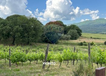 VIGNETO - Rustico VIA DI SASSOSCRITTO
 
SNC, Roccastrada - foto 33