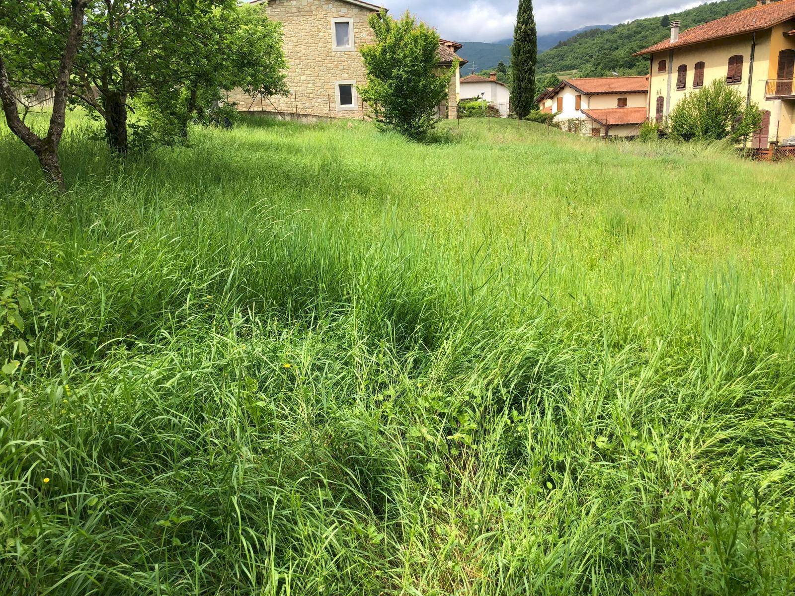 Foto 2 - Terreno edificabile VIA PROVINCIALE
 
28, Ortignano Raggiolo - foto 2