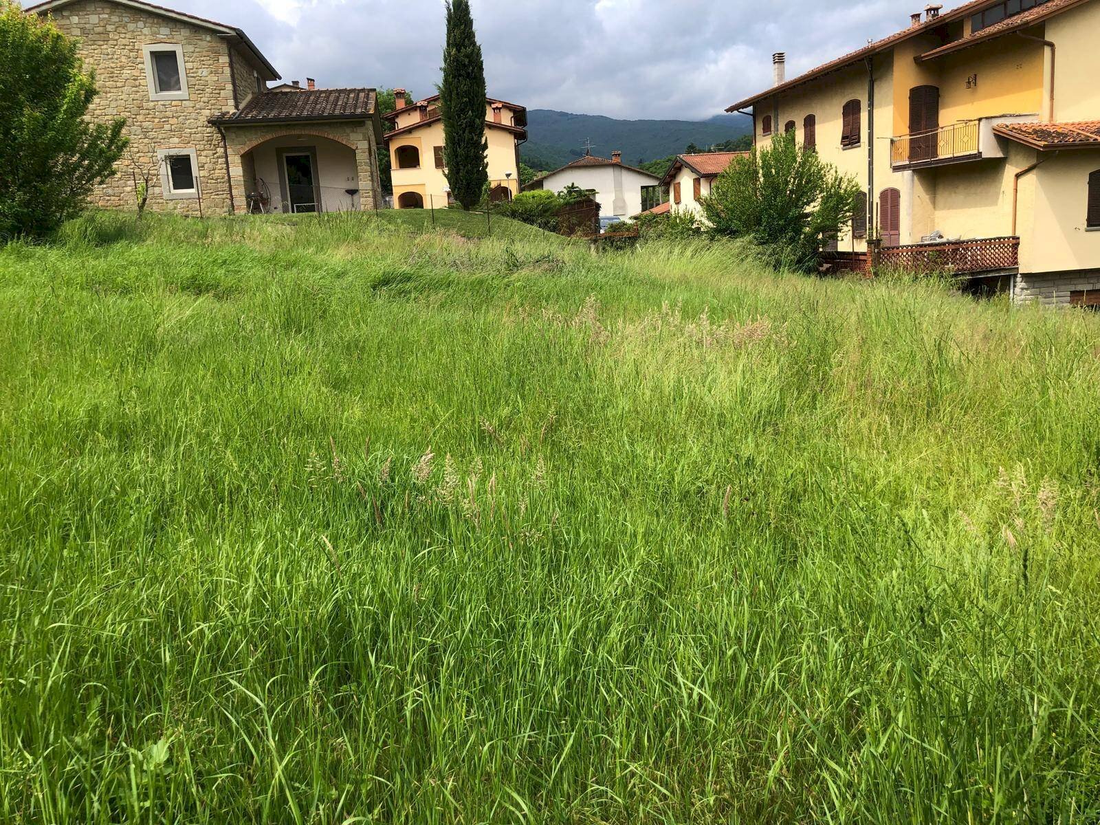 Foto 3 - Terreno edificabile VIA PROVINCIALE
 
28, Ortignano Raggiolo - foto 3