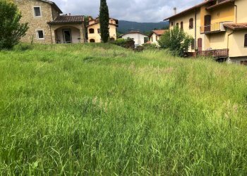 Foto 1 - Terreno edificabile VIA PROVINCIALE
 
28, Ortignano Raggiolo - foto 1