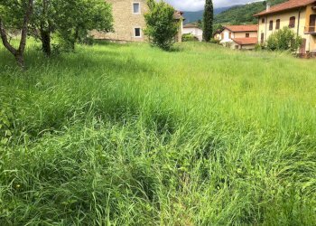 Foto 2 - Terreno edificabile VIA PROVINCIALE
 
28, Ortignano Raggiolo - foto 2