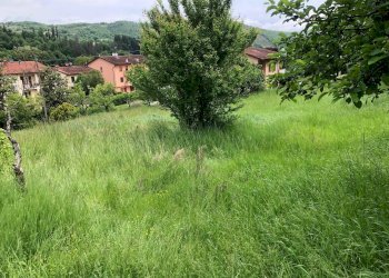 Foto 5 - Terreno edificabile VIA PROVINCIALE
 
28, Ortignano Raggiolo - foto 5