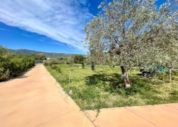 Terreno - Villa via Monte Nurres, Torpè - foto 8